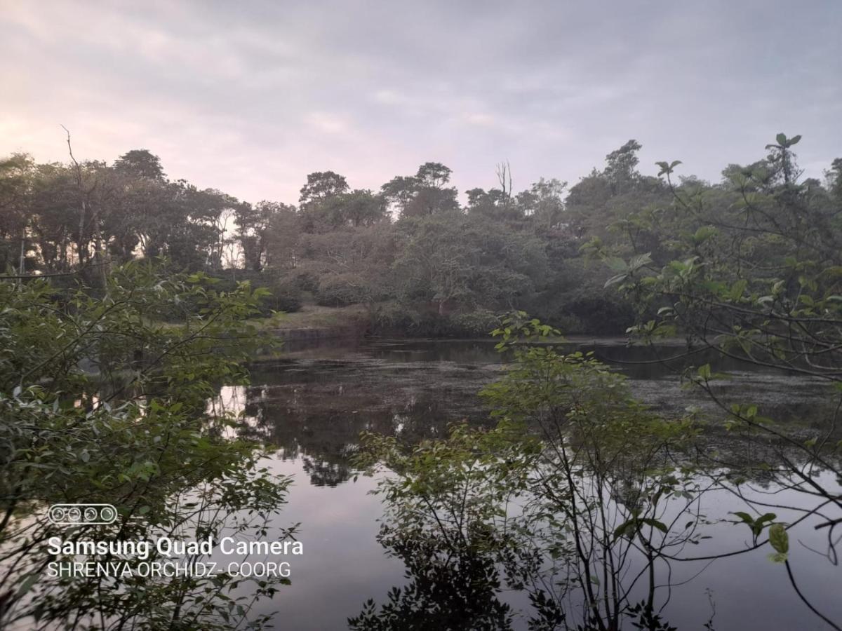 מדיקרי Shrenya Orchidz-Coorg Nature Stay מראה חיצוני תמונה