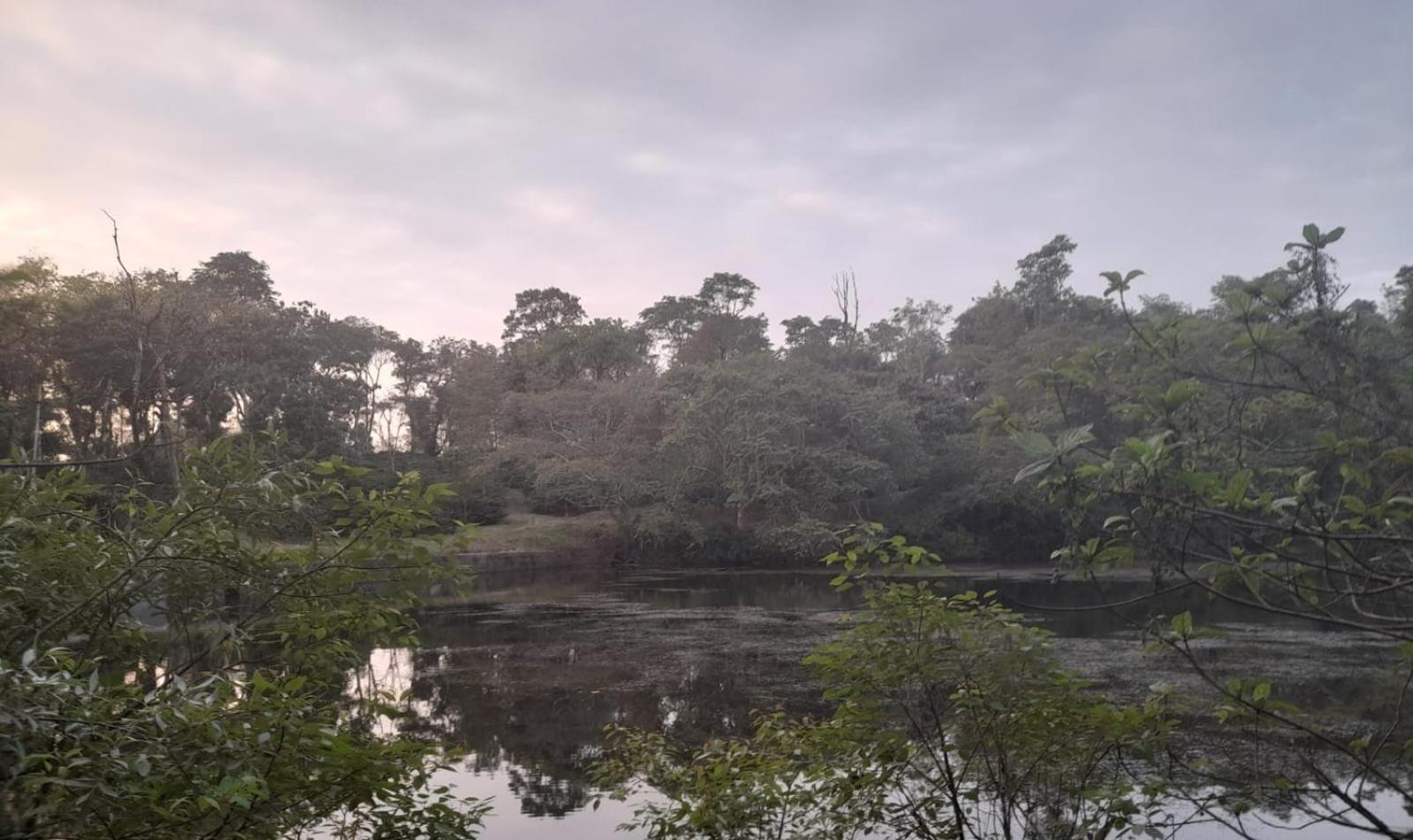 מדיקרי Shrenya Orchidz-Coorg Nature Stay מראה חיצוני תמונה