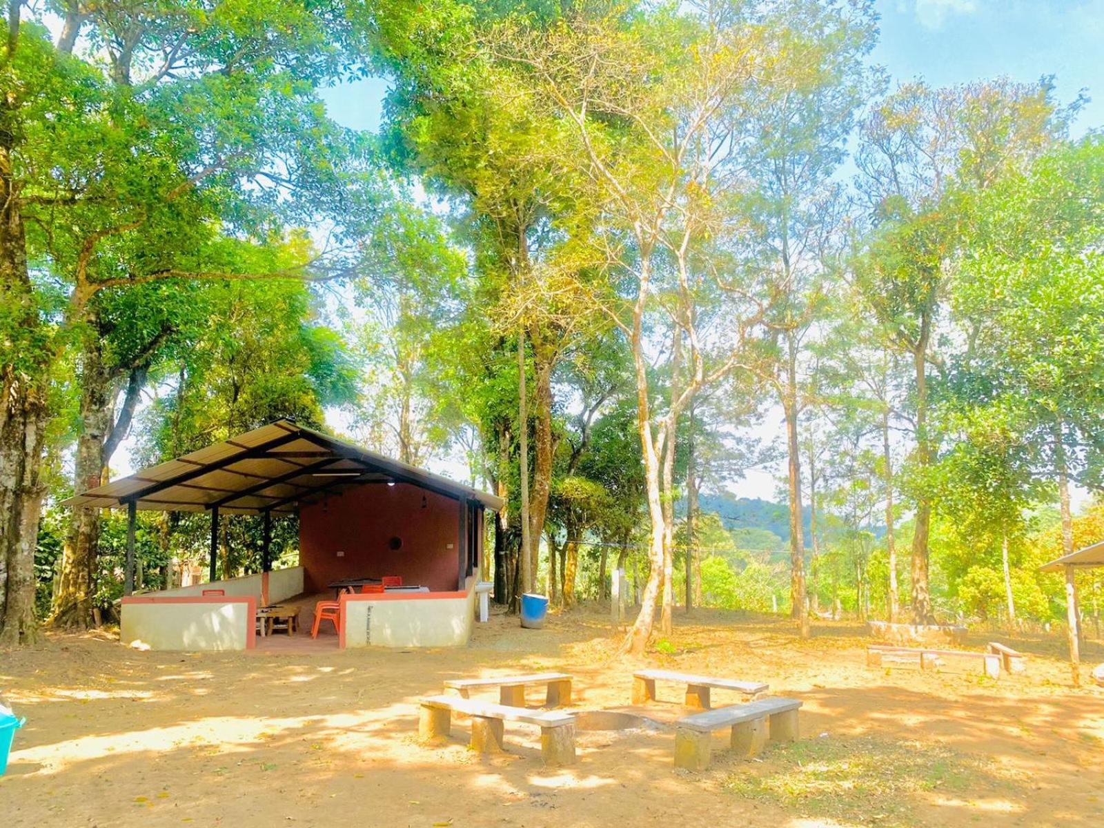 מדיקרי Shrenya Orchidz-Coorg Nature Stay מראה חיצוני תמונה